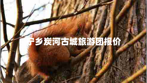 寧鄉(xiāng)炭河古城旅游團(tuán)報(bào)價(jià) 寧鄉(xiāng)炭河古城旅游團(tuán)報(bào)價(jià)