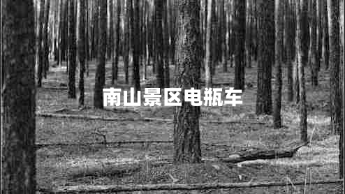 南山景區(qū)電瓶車