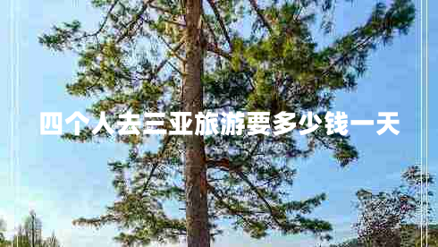四個(gè)人去三亞旅游要多少錢(qián)一天