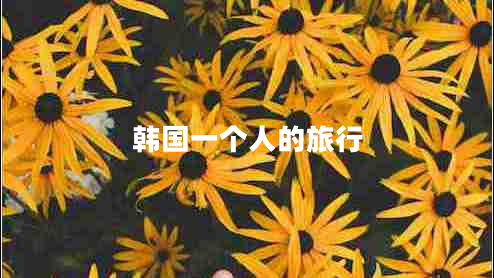 韓國一個(gè)人的旅行 韓國一個(gè)人的旅行