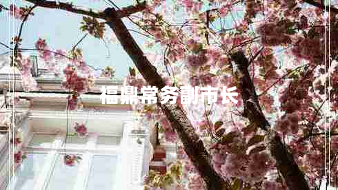 福鼎常務(wù)副市長(zhǎng)