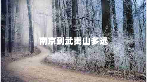 南京到武夷山多遠(yuǎn)