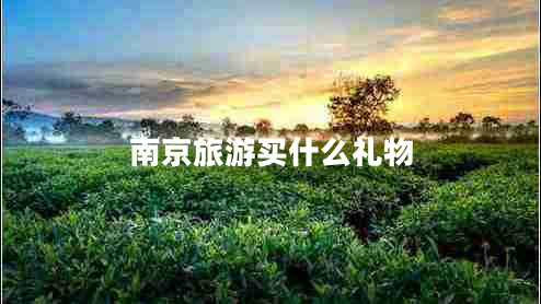 南京旅游買什么禮物