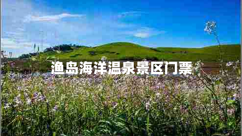 漁島海洋溫泉景區(qū)門票 漁島海洋溫泉景區(qū)門票