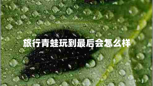 旅行青蛙玩到最后會怎么樣 旅行青蛙玩到最后會怎么樣