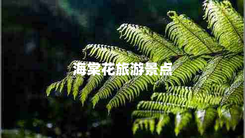 海棠花旅游景點(diǎn) 海棠花旅游景點(diǎn)