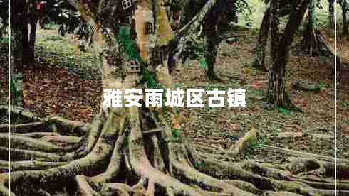雅安雨城區(qū)古鎮(zhèn) 雅安雨城區(qū)古鎮(zhèn)