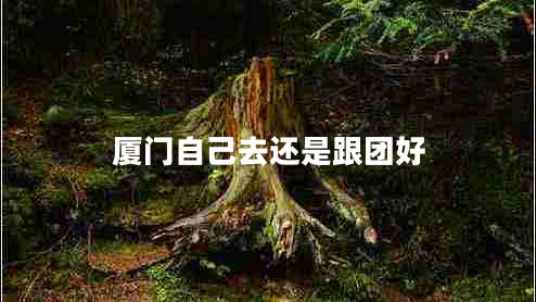 廈門自己去還是跟團(tuán)好 廈門自己去還是跟團(tuán)好