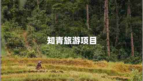 知青旅游項目 知青旅游項目