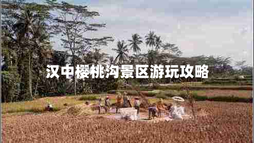 漢中櫻桃溝景區(qū)游玩攻略 漢中櫻桃溝景區(qū)游玩攻略