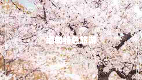 緬甸特色旅游 緬甸特色旅游