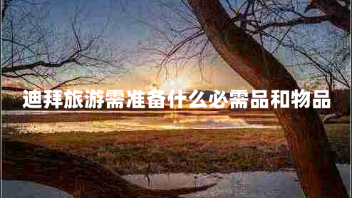 迪拜旅游需準(zhǔn)備什么必需品和物品