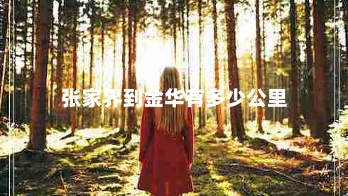 張家界到金華有多少公里