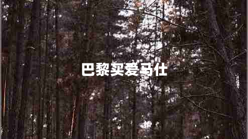 巴黎買(mǎi)愛(ài)馬仕