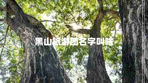 黑山旅游團名字叫啥 黑山旅游團名字叫啥