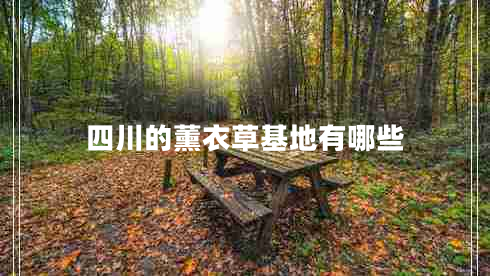 四川的薰衣草基地有哪些