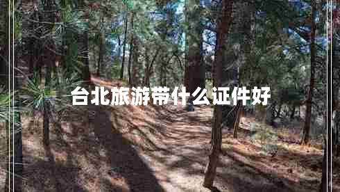 臺北旅游帶什么證件好 臺北旅游帶什么證件好
