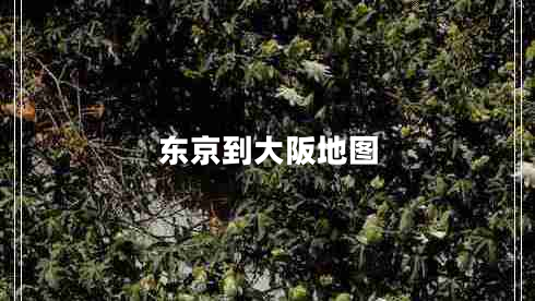 東京到大阪地圖 東京到大阪地圖