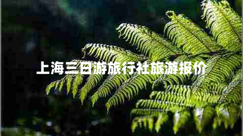上海三日游旅行社旅游報(bào)價(jià) 上海三日游旅行社旅游報(bào)價(jià)