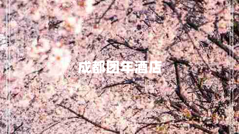 成都團(tuán)年酒店 成都團(tuán)年酒店