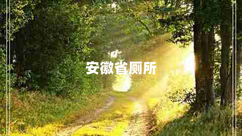 安徽省廁所 安徽省廁所