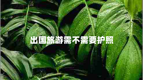 出國旅游需不需要護(hù)照