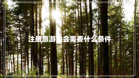 注冊(cè)旅游協(xié)會(huì)需要什么條件 注冊(cè)旅游協(xié)會(huì)需要什么條件