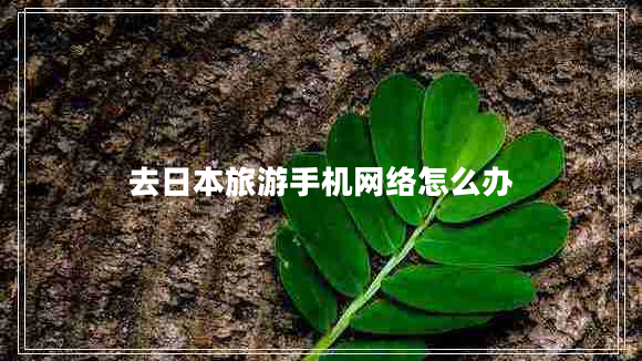 去日本旅游手機(jī)網(wǎng)絡(luò)怎么辦 去日本旅游手機(jī)網(wǎng)絡(luò)怎么辦