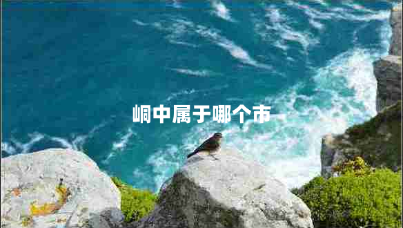 峒中屬于哪個市