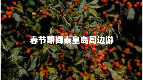 春節(jié)期間秦皇島周邊游 春節(jié)期間秦皇島周邊游