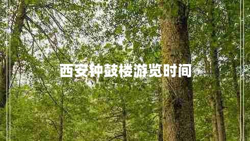 西安鐘鼓樓游覽時(shí)間