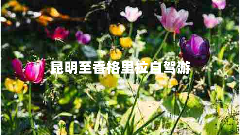 昆明至香格里拉自駕游