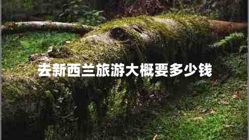 去新西蘭旅游大概要多少錢