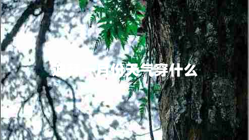 迪拜一月份天氣穿什么 迪拜一月份天氣穿什么