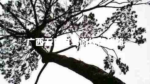 廣西五日自駕游經(jīng)典線路 廣西五日自駕游經(jīng)典線路