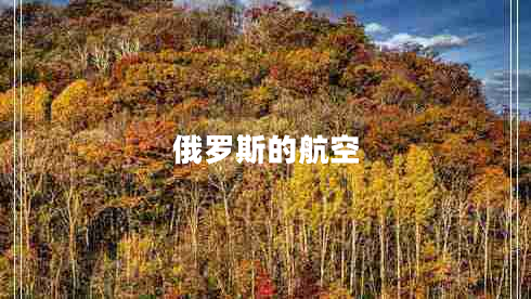 俄羅斯的航空 俄羅斯的航空