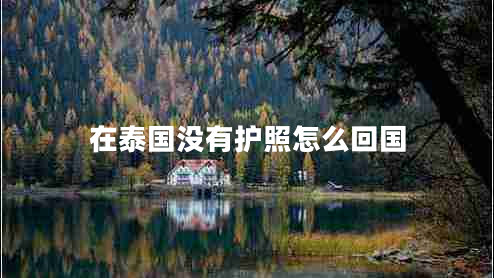 在泰國(guó)沒(méi)有護(hù)照怎么回國(guó) 在泰國(guó)沒(méi)有護(hù)照怎么回國(guó)
