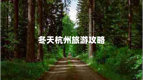 冬天杭州旅游攻略
