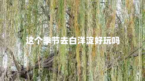 這個(gè)季節(jié)去白洋淀好玩嗎 這個(gè)季節(jié)去白洋淀好玩嗎