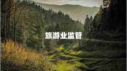 旅游業(yè)監(jiān)管 旅游業(yè)監(jiān)管