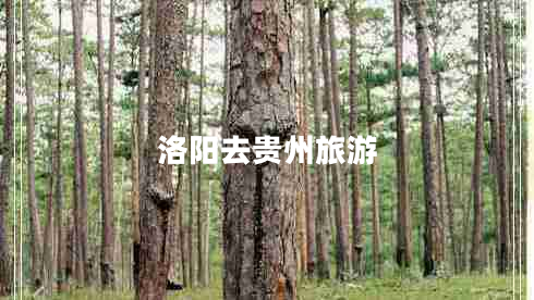 洛陽去貴州旅游 洛陽去貴州旅游