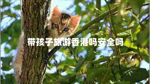 帶孩子旅游香港嗎安全嗎 帶孩子旅游香港嗎安全嗎