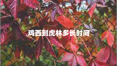 雞西到虎林多長(zhǎng)時(shí)間 雞西到虎林多長(zhǎng)時(shí)間