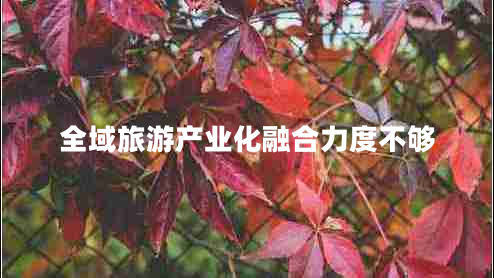 全域旅游產(chǎn)業(yè)化融合力度不夠
