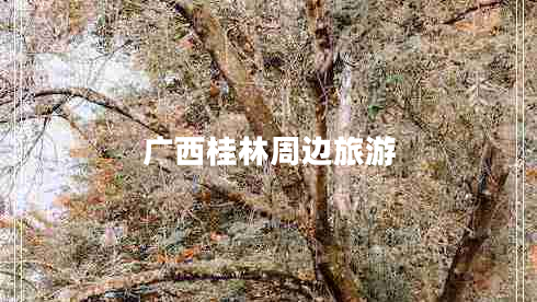 廣西桂林周邊旅游 廣西桂林周邊旅游