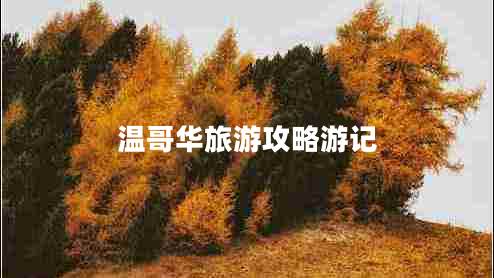 溫哥華旅游攻略游記 溫哥華旅游攻略游記
