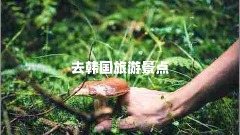 去韓國旅游景點(diǎn)