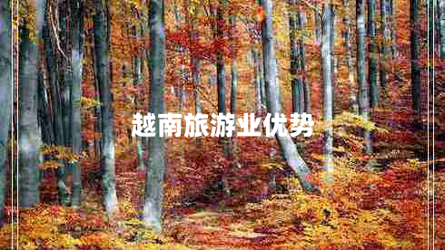 越南旅游業(yè)優(yōu)勢(shì) 越南旅游業(yè)優(yōu)勢(shì)