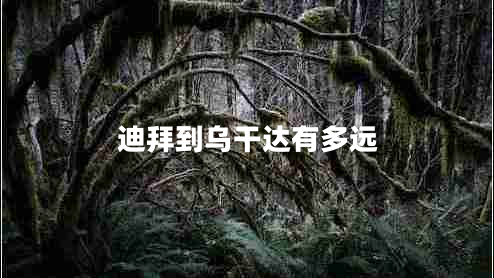 迪拜到烏干達有多遠 迪拜到烏干達有多遠