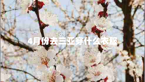 4月份去三亞穿什么衣服 4月份去三亞穿什么衣服